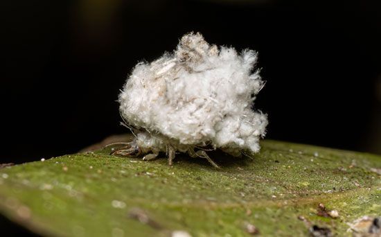 9f games 101 bonus - Junk collector