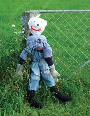 Loira patricinha do rabo de óleo dando show de cavalgada na pica - Guy Fawkes effigy